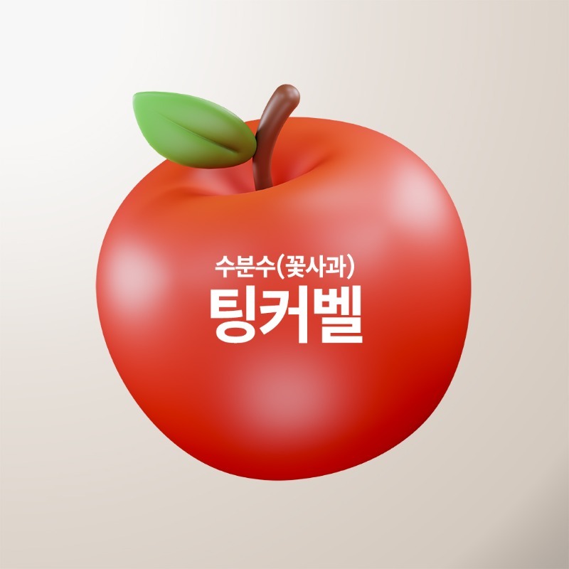 팅커벨