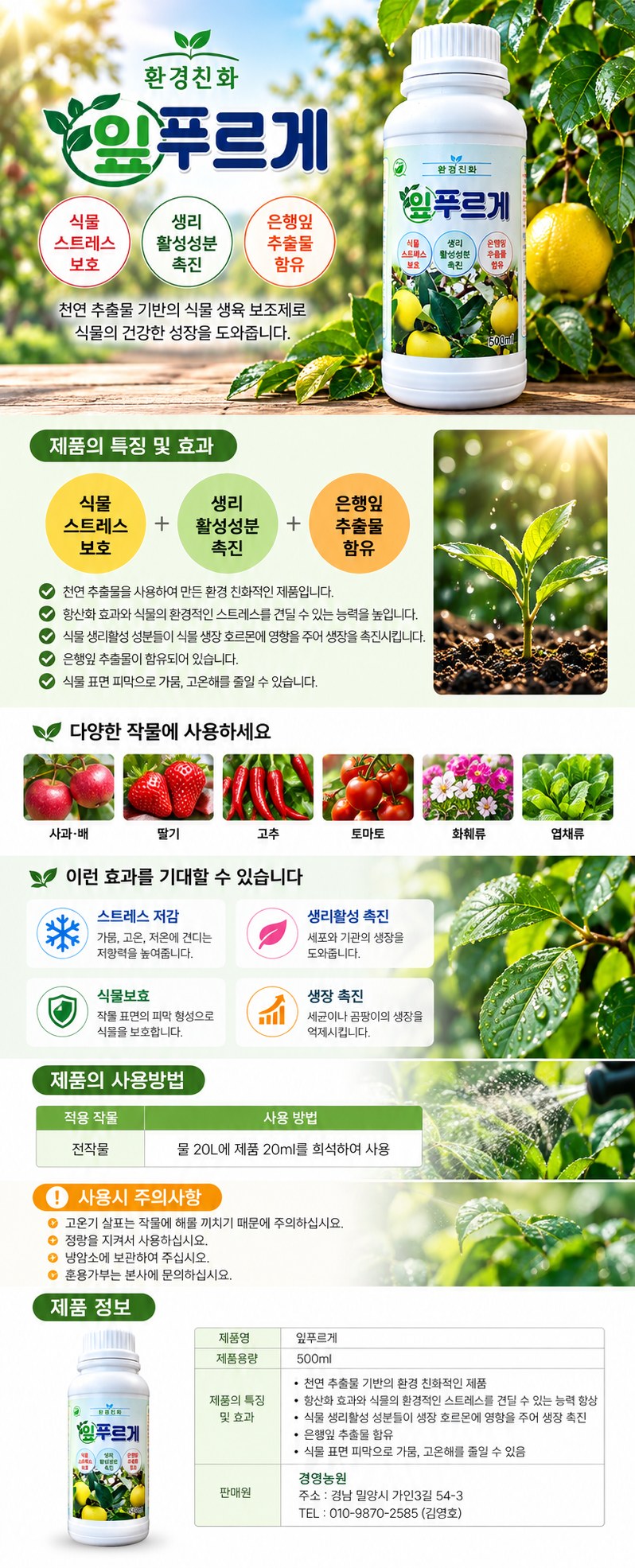 잎푸르게 상세 안내